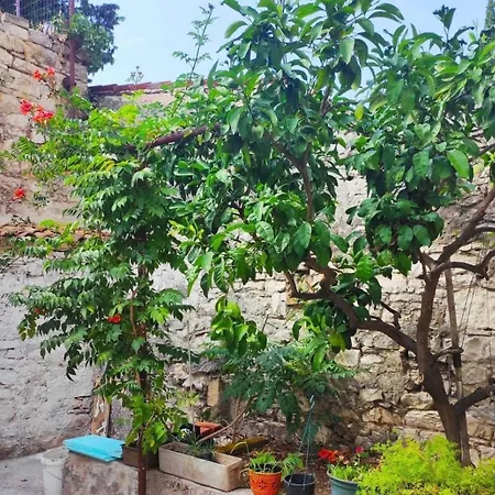 Casa Dei Fiori *